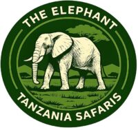 THE ELEPHANT TANZANIA SAFARIS